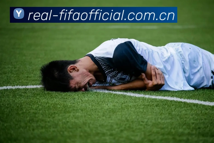 FIFA 官方数据授权认证